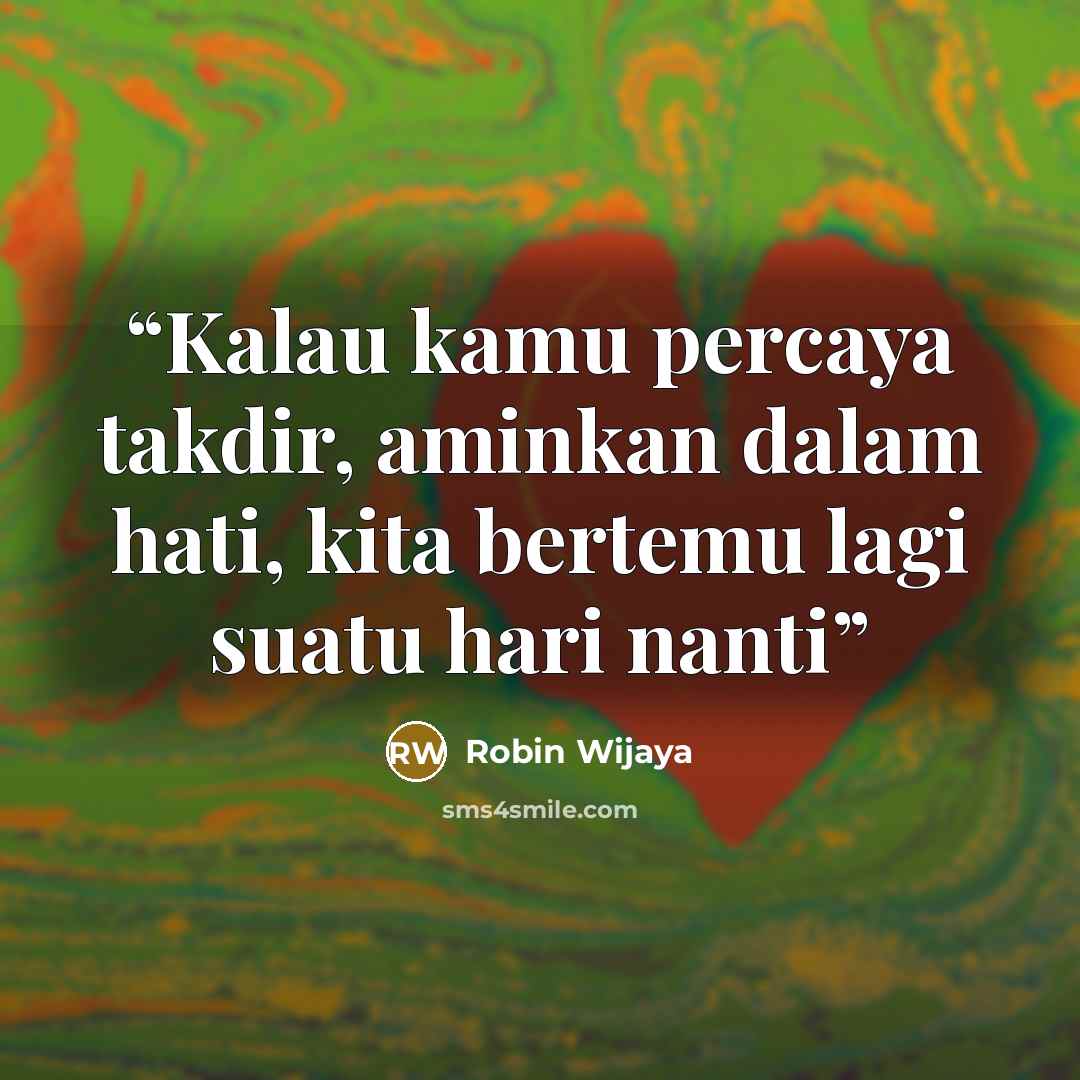 “Kalau kamu percaya takdir, aminkan dalam hati, kita bertemu lagi suatu hari nanti” quote by Robin Wijaya
