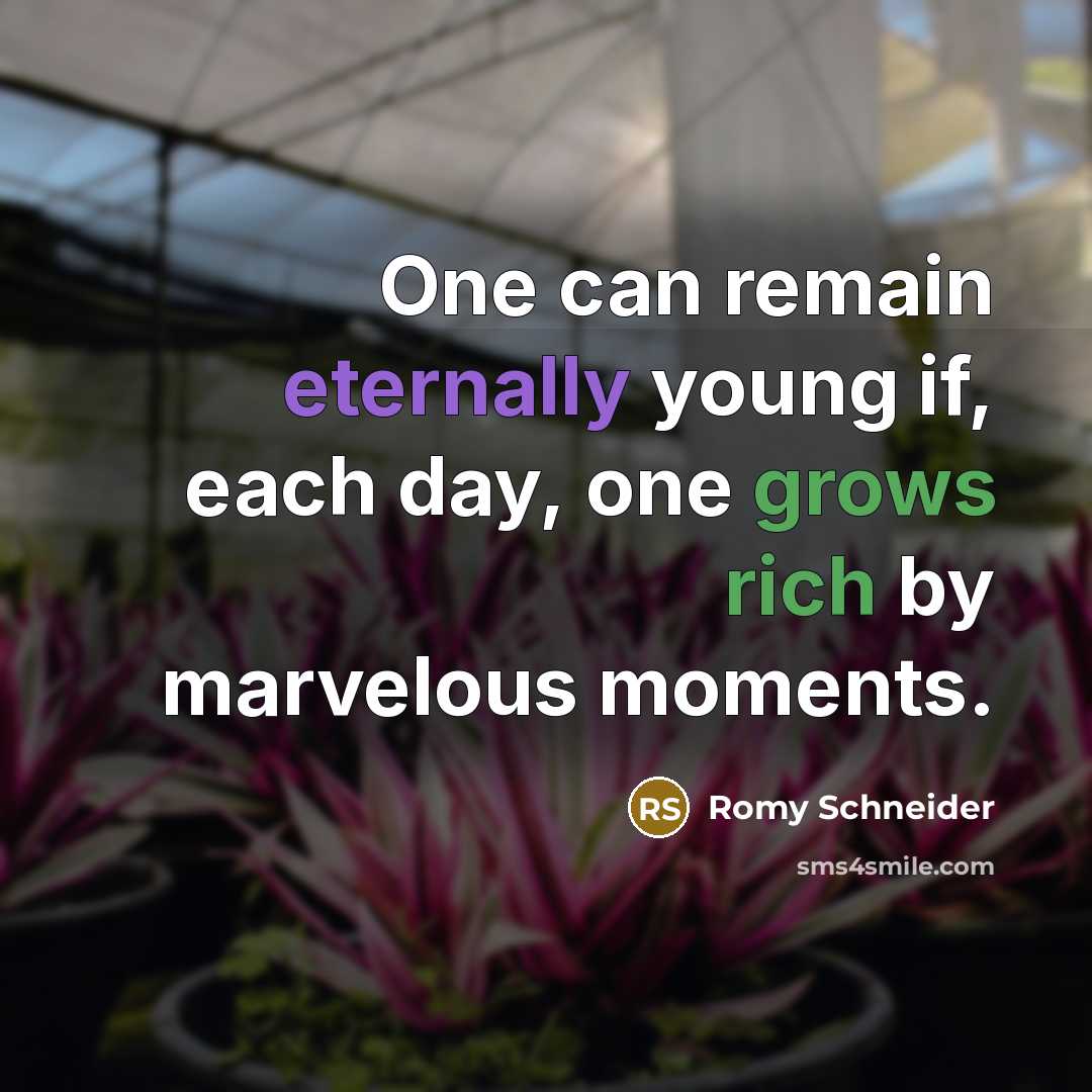 “One can remain eternally young if, each day, one grows rich by marvelous moments.” quote by Romy Schneider