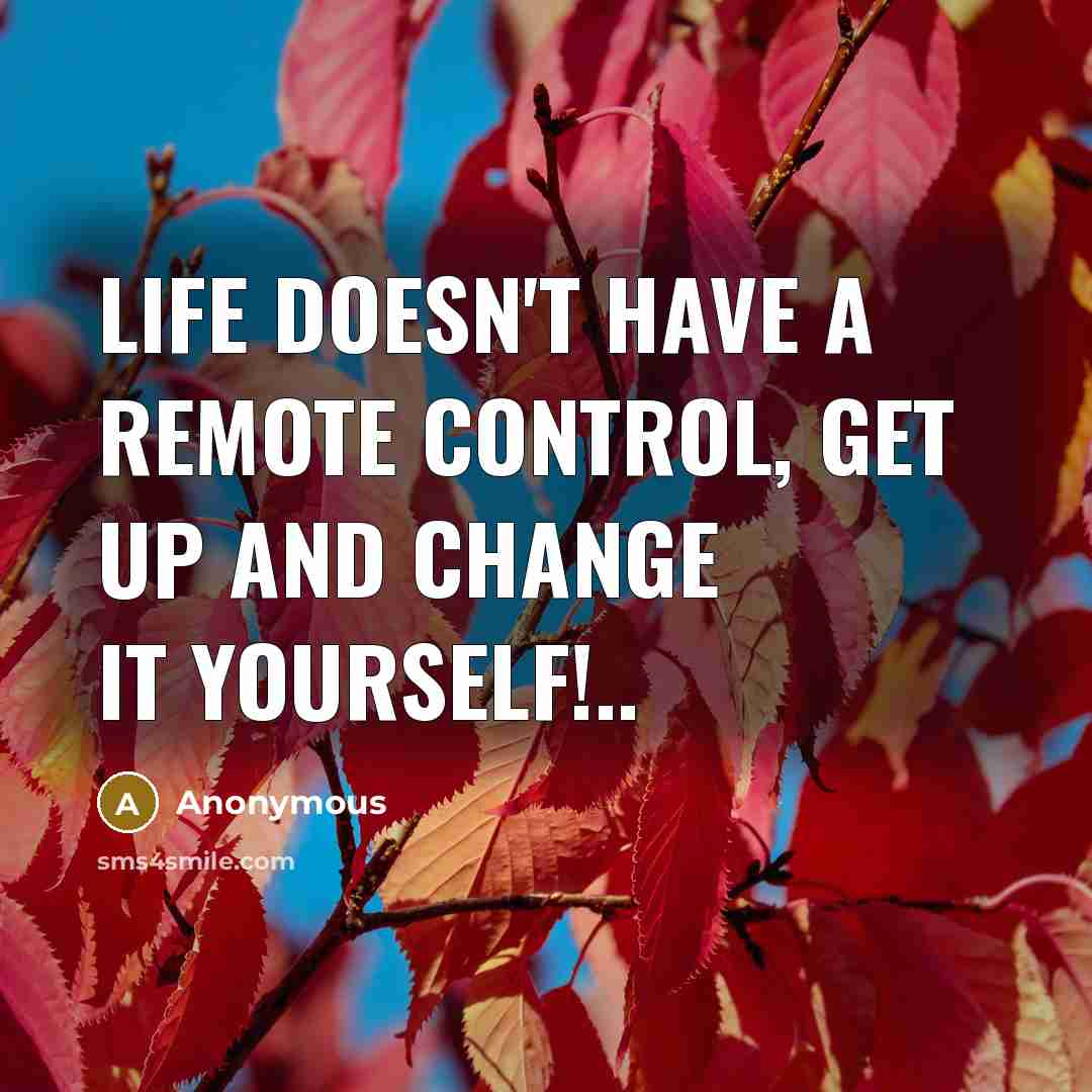 “Life doesn't have a remote control, get up and change it yourself!..” quote by Anonymous
