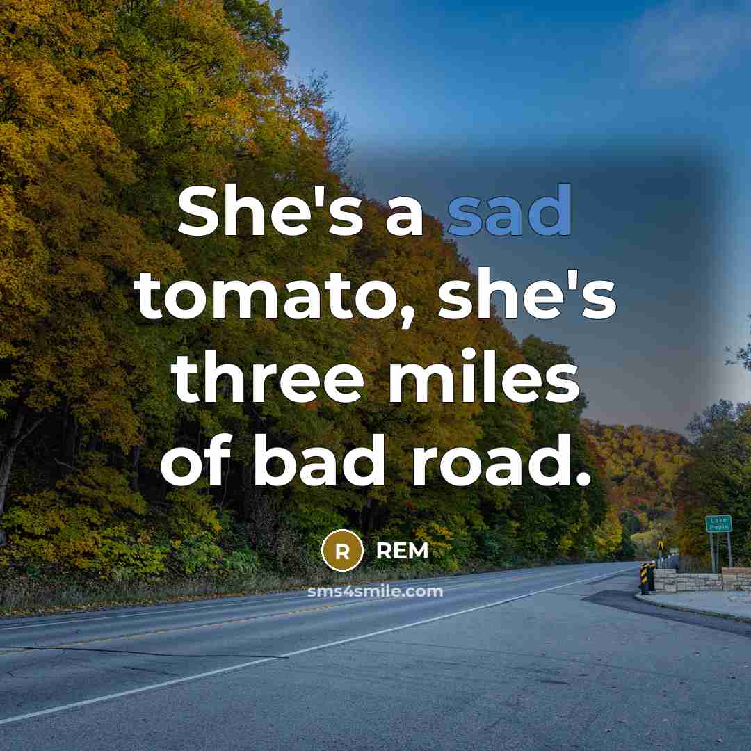 “She's a sad tomato, she's three miles of bad road.” quote by REM