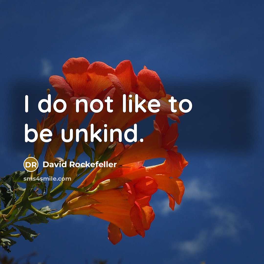 “I do not like to be unkind.” quote by David Rockefeller