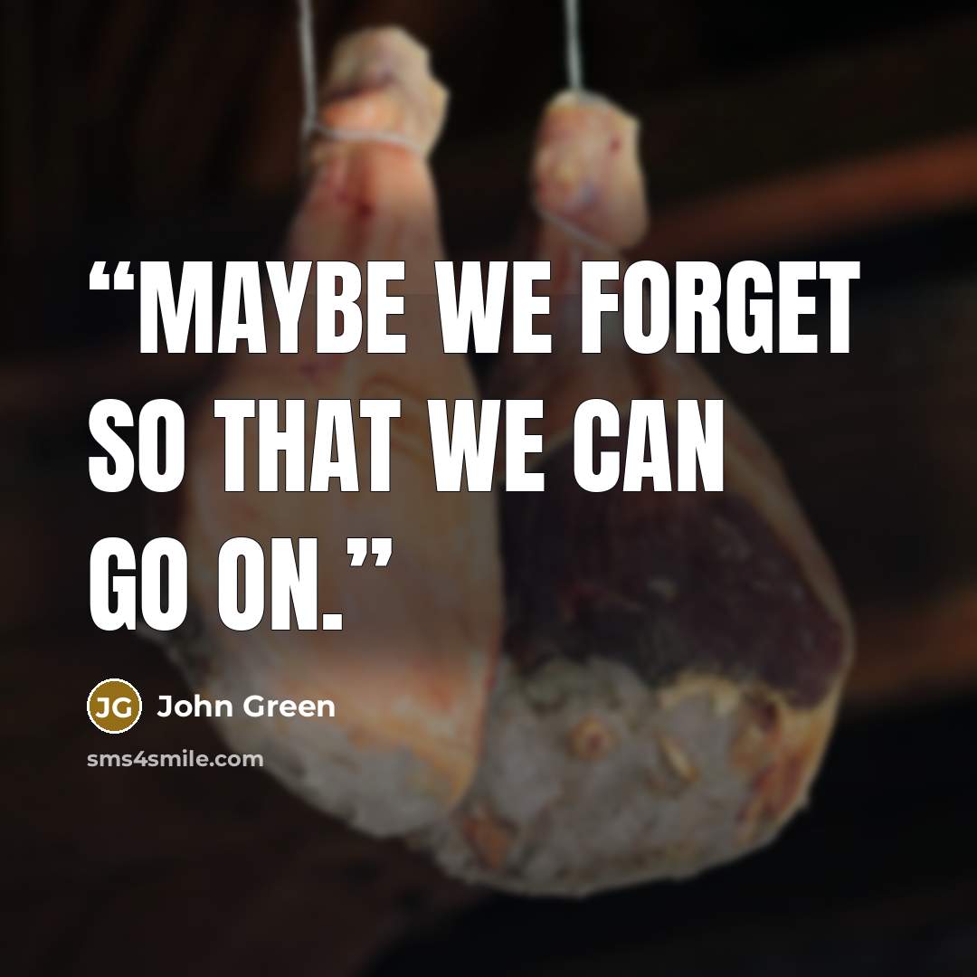 “Maybe we forget so that we can go on.” quote by John Green