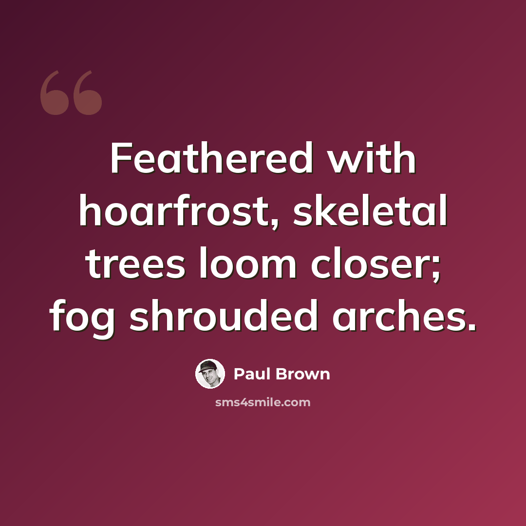 “Feathered with hoarfrost, skeletal trees loom closer; fog shrouded arches.” quote by Paul Brown