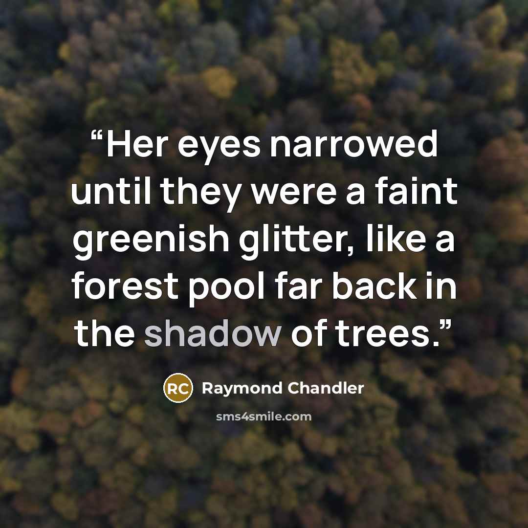 “Her eyes narrowed until they were a faint greenish glitter, like a forest pool far back in the shadow of trees.” quote by Raymond Chandler