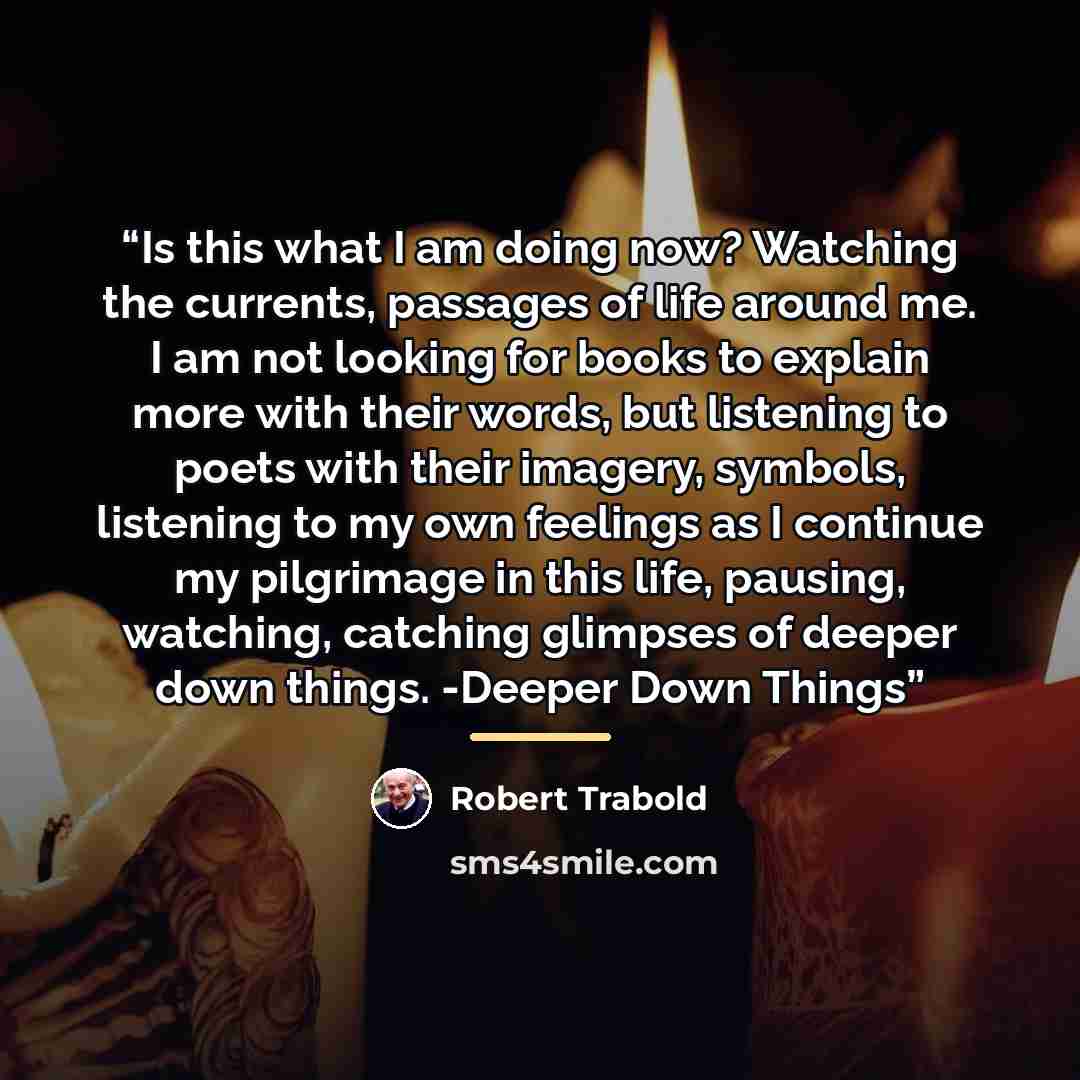 “Is this what I am doing now? Watching the currents, passages of life around me. I am not looking for books to explain more with their words, but listening to poets with their imagery, symbols, listening to my own feelings as I continue my pilgrimage in this life, pausing, watching, catching…” quote by Robert Trabold