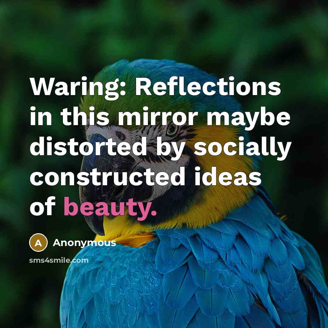 “Waring: Reflections in this mirror maybe distorted by socially constructed ideas of beauty.” quote by Anonymous
