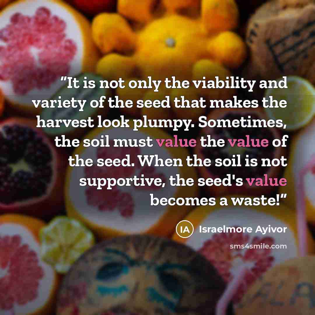 “It is not only the viability and variety of the seed that makes the harvest look plumpy. Sometimes, the soil must value the value of the seed. When the soil is not supportive, the seed's value becomes a waste!” quote by Israelmore Ayivor