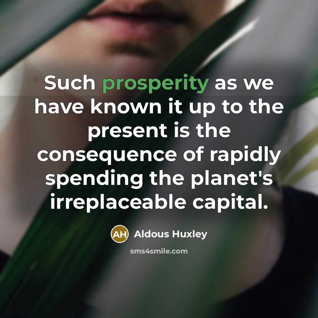 “Such prosperity as we have known it up to the present is the consequence of rapidly spending the planet's irreplaceable capital.” quote by Aldous Huxley