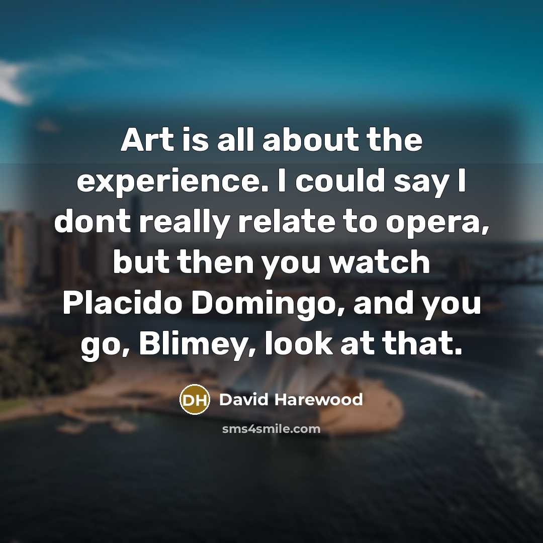 “Art is all about the experience. I could say I dont really relate to opera, but then you watch Placido Domingo, and you go, Blimey, look at that.” quote by David Harewood