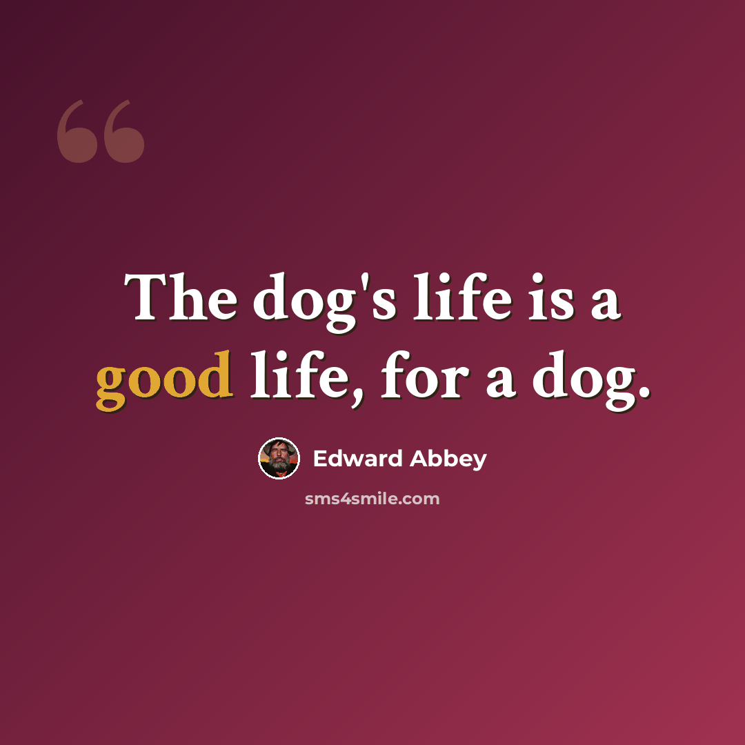 “The dog's life is a good life, for a dog.” quote by Edward Abbey
