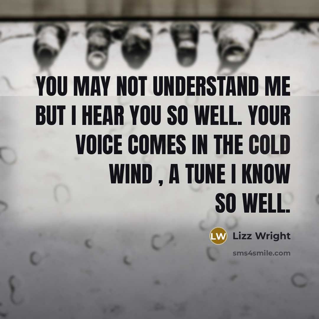 “You may not understand me but I hear you so well. Your voice comes in the cold wind , a tune I know so well.” quote by Lizz Wright