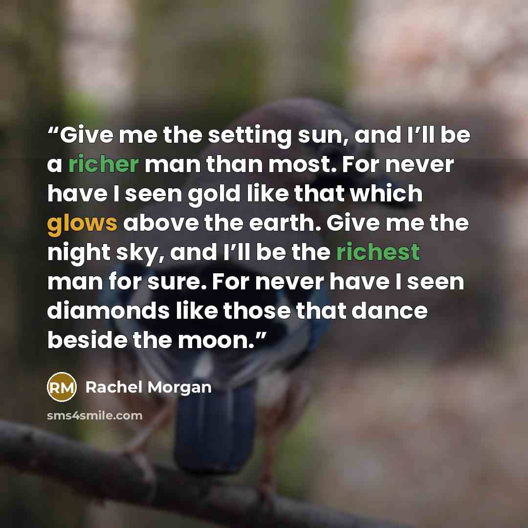 “Give me the setting sun, and I’ll be a richer man than most. For never have I seen gold like that which glows above the earth. Give me the night sky, and I’ll be the richest man for sure. For never have I seen diamonds like those that dance beside the moon.” quote by Rachel Morgan
