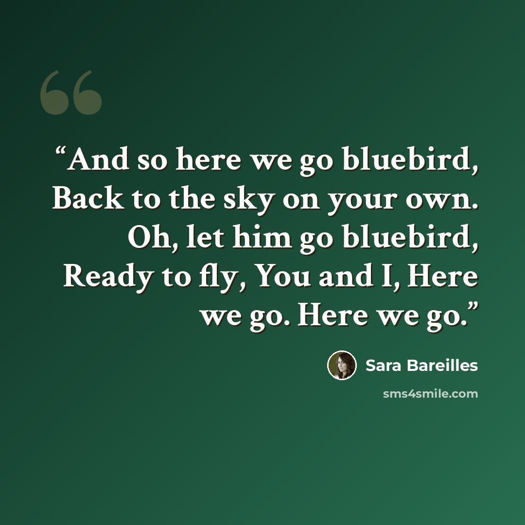 “And so here we go bluebird, Back to the sky on your own. Oh, let him go bluebird, Ready to fly, You and I, Here we go. Here we go.” quote by Sara Bareilles