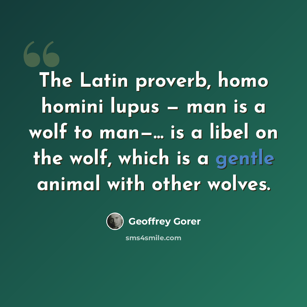 “The Latin proverb, homo homini lupus — man is a wolf to man—... is a libel on the wolf, which is a gentle animal with other wolves.” quote by Geoffrey Gorer