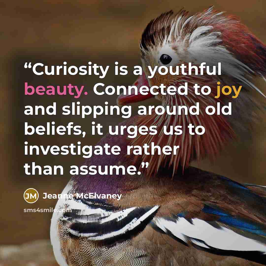 “Curiosity is a youthful beauty. Connected to joy and slipping around old beliefs, it urges us to investigate rather than assume.” quote by Jeanne McElvaney
