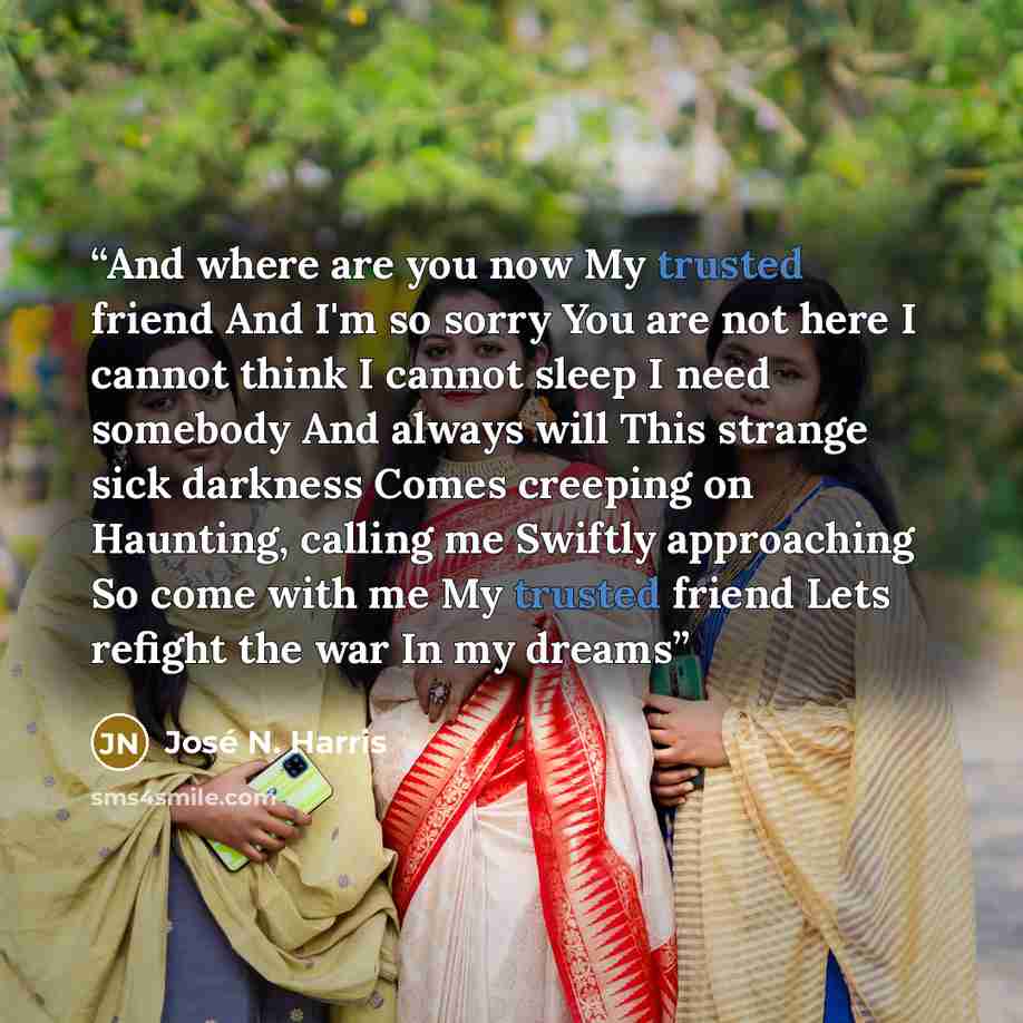 “And where are you now My trusted friend And I'm so sorry You are not here I cannot think I cannot sleep I need somebody And always will This strange sick darkness Comes creeping on Haunting, calling me Swiftly approaching So come with me My trusted friend Lets refight the war In my dreams” quote by José N. Harris