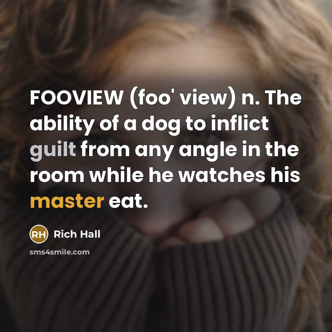 “FOOVIEW (foo' view) n. The ability of a dog to inflict guilt from any angle in the room while he watches his master eat.” quote by Rich Hall