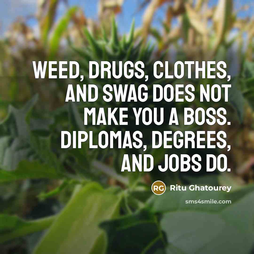 “Weed, drugs, clothes, and swag does NOT make you a boss. Diplomas, degrees, and jobs do.” quote by Ritu Ghatourey
