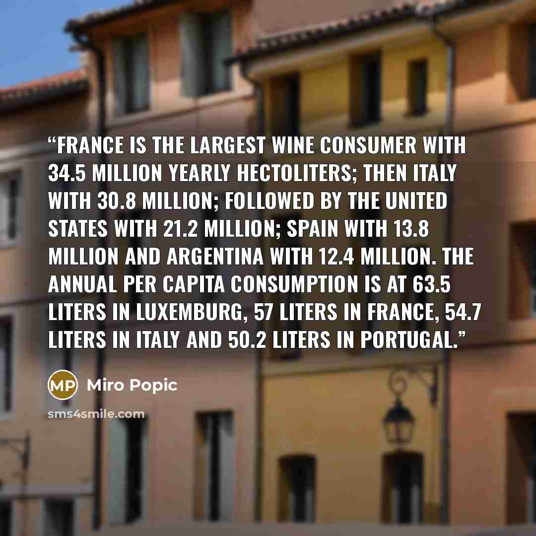 “France is the largest wine consumer with 34.5 million yearly hectoliters; then Italy with 30.8 million; followed by The United States with 21.2 million; Spain with 13.8 million and Argentina with 12.4 million. The annual per capita consumption is at 63.5 liters in Luxemburg, 57 liters in France…” quote by Miro Popic