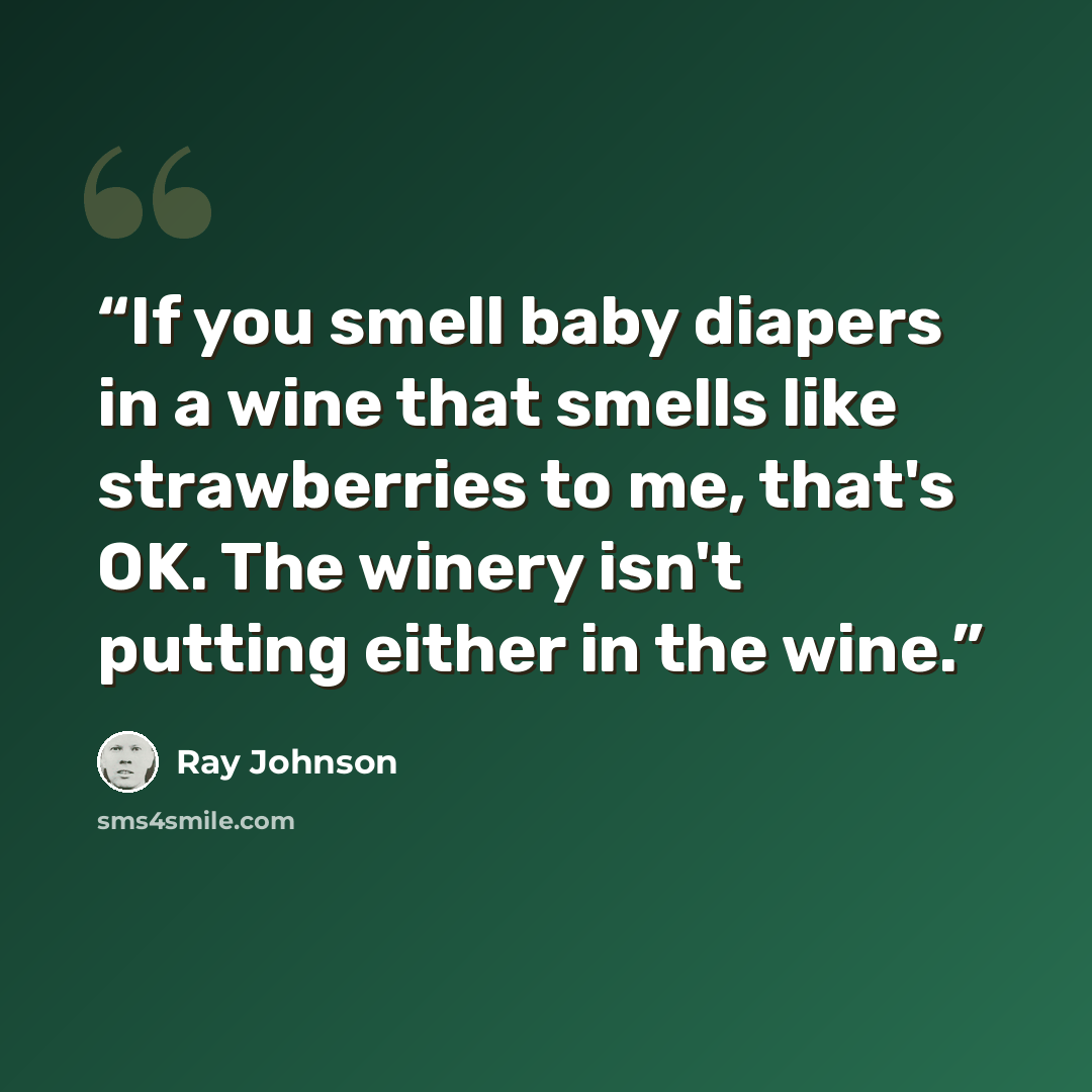“If you smell baby diapers in a wine that smells like strawberries to me, that's OK. The winery isn't putting either in the wine.” quote by Ray Johnson
