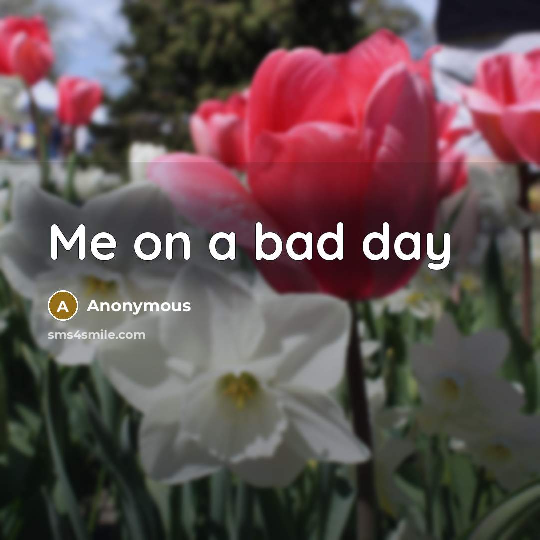“Me on a bad day” quote by Anonymous