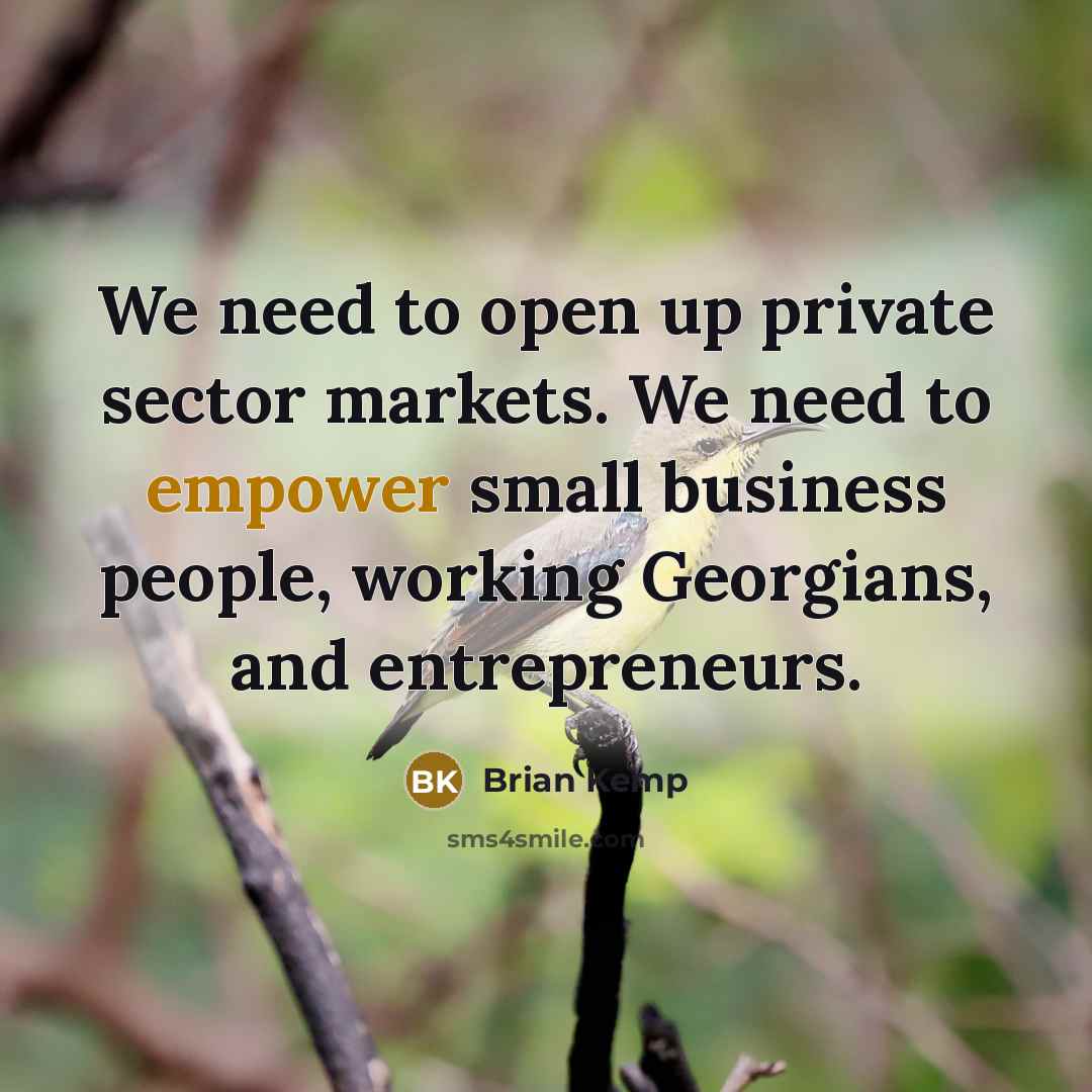 “We need to open up private sector markets. We need to empower small business people, working Georgians, and entrepreneurs.” quote by Brian Kemp