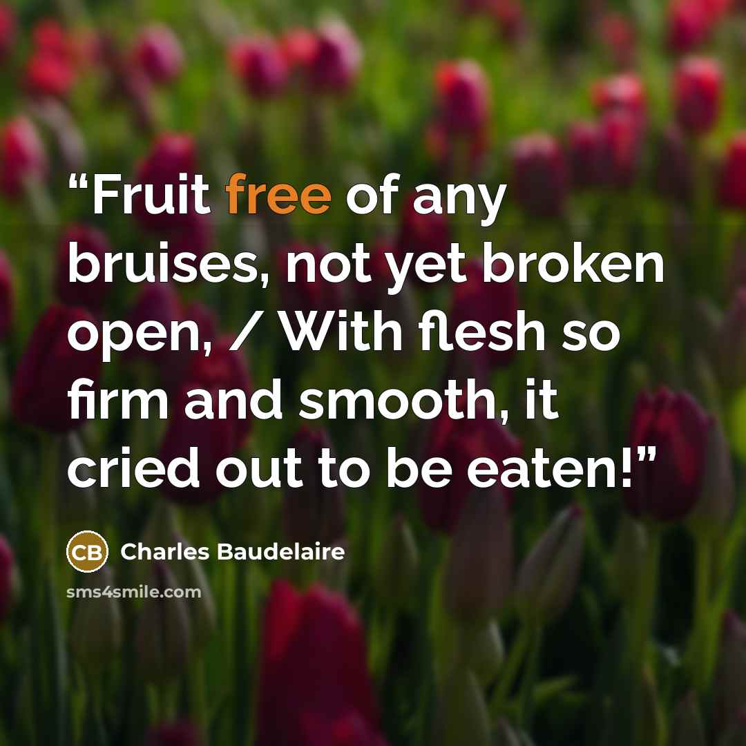 “Fruit free of any bruises, not yet broken open, / With flesh so firm and smooth, it cried out to be eaten!” quote by Charles Baudelaire
