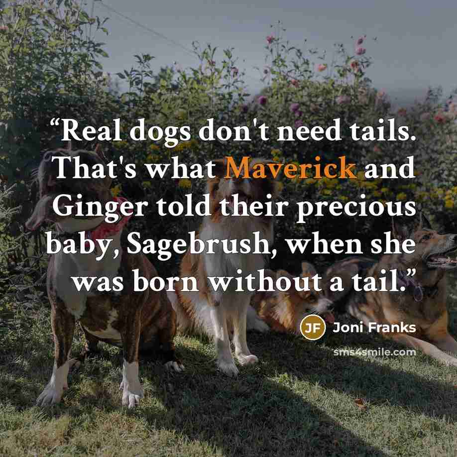 “Real dogs don't need tails. That's what Maverick and Ginger told their precious baby, Sagebrush, when she was born without a tail.” quote by Joni Franks