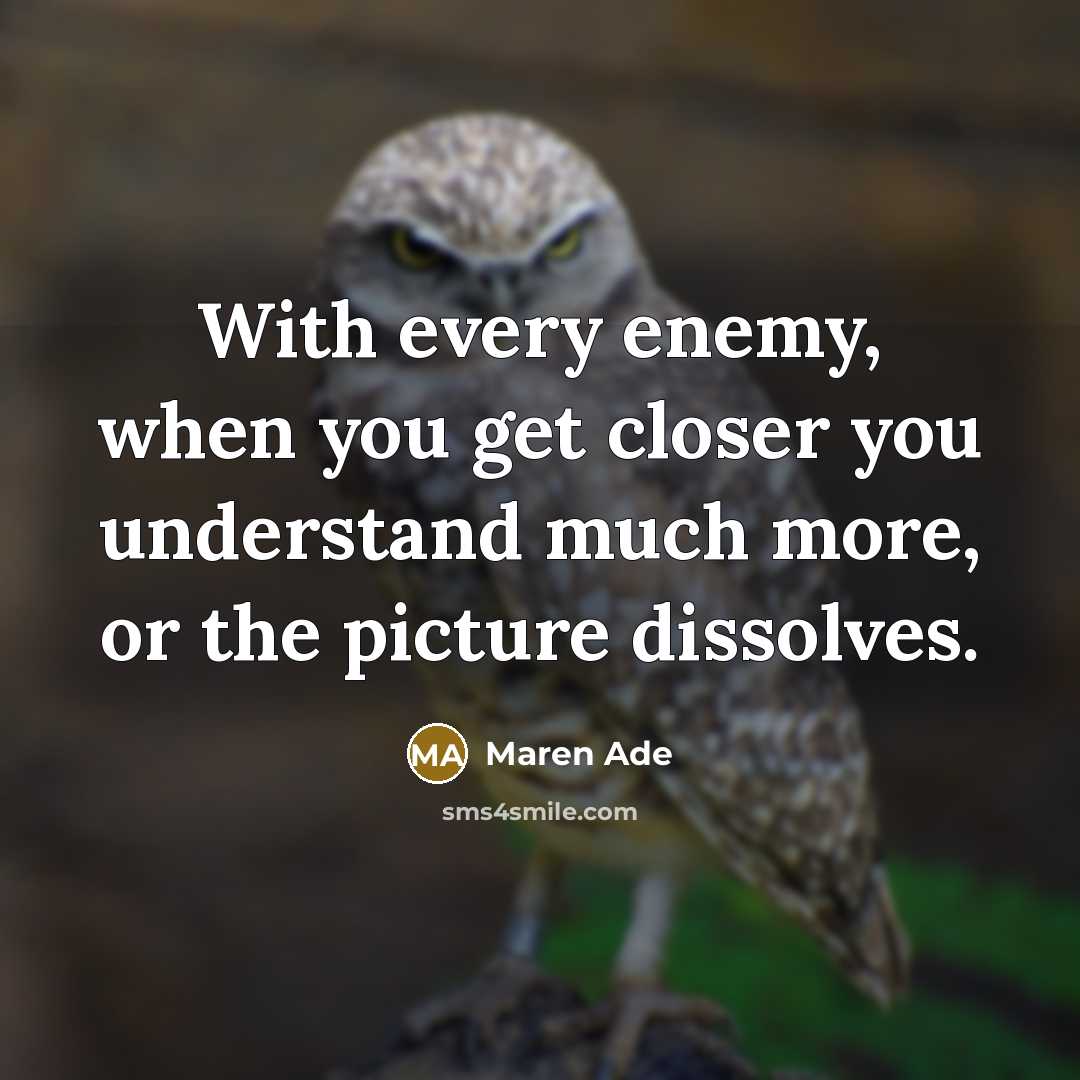 “With every enemy, when you get closer you understand much more, or the picture dissolves.” quote by Maren Ade