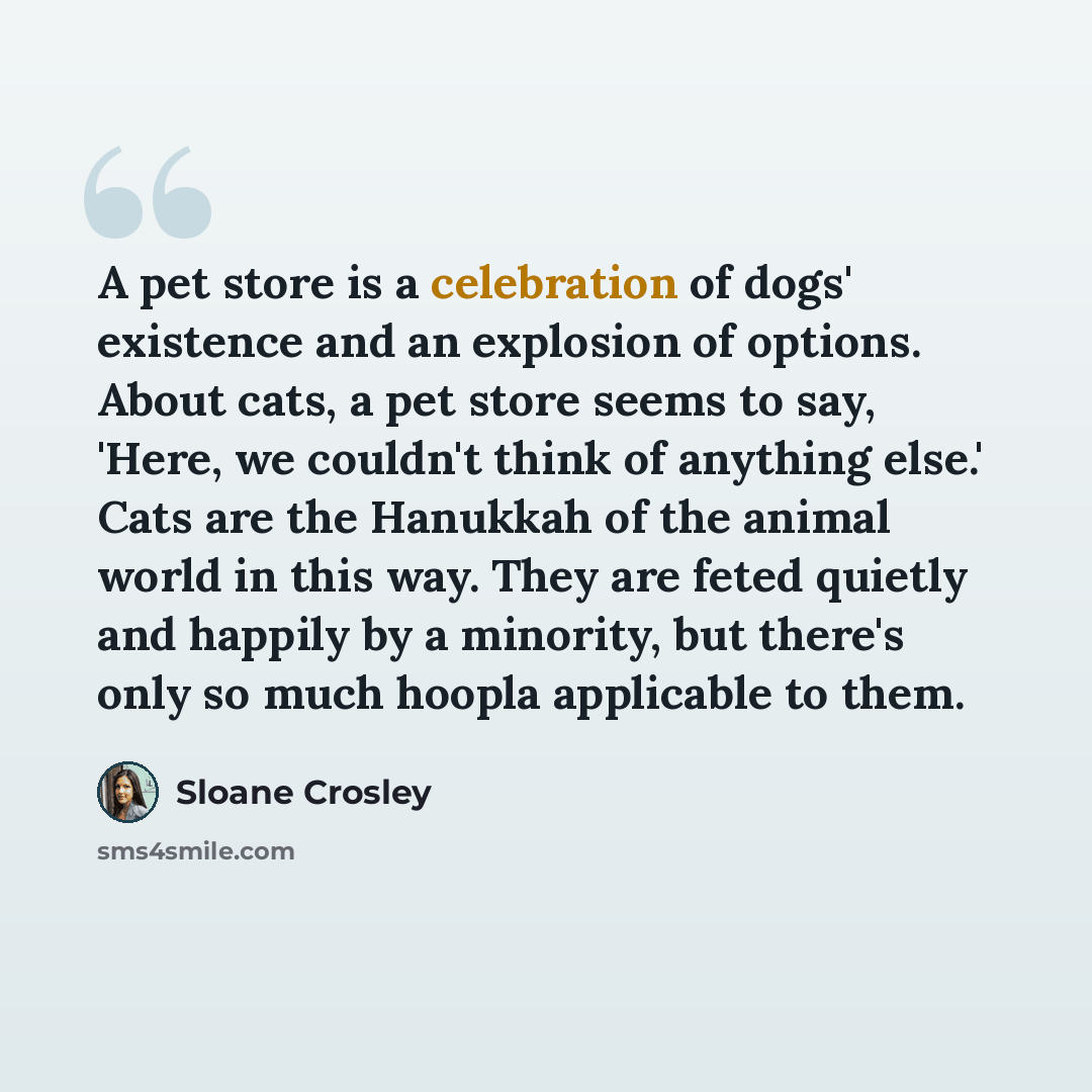 “A pet store is a celebration of dogs' existence and an explosion of options. About cats, a pet store seems to say, 'Here, we couldn't think of anything else.' Cats are the Hanukkah of the animal world in this way. They are feted quietly and happily by a minority, but there's only so much hoopla…” quote by Sloane Crosley