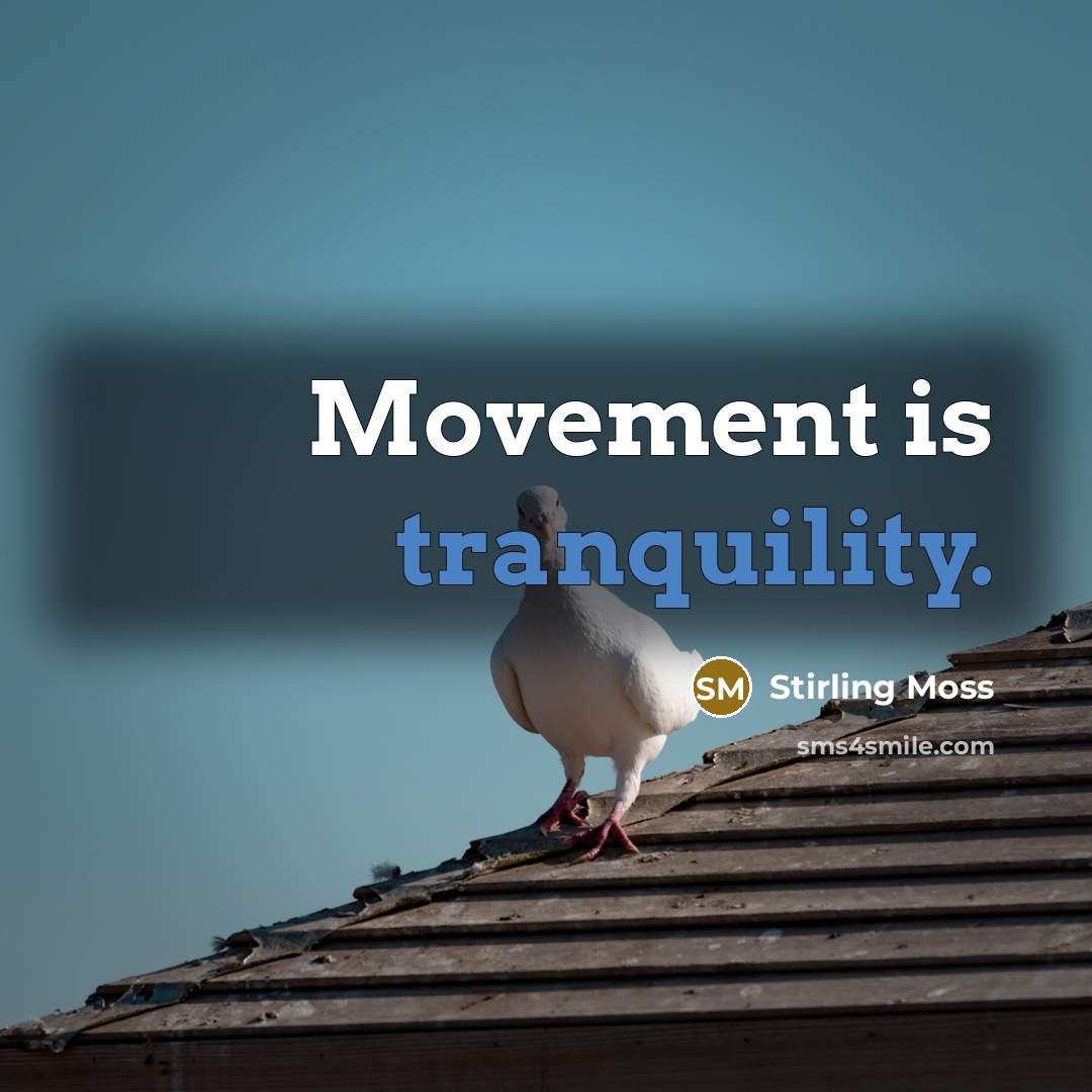 “Movement is tranquility.” quote by Stirling Moss