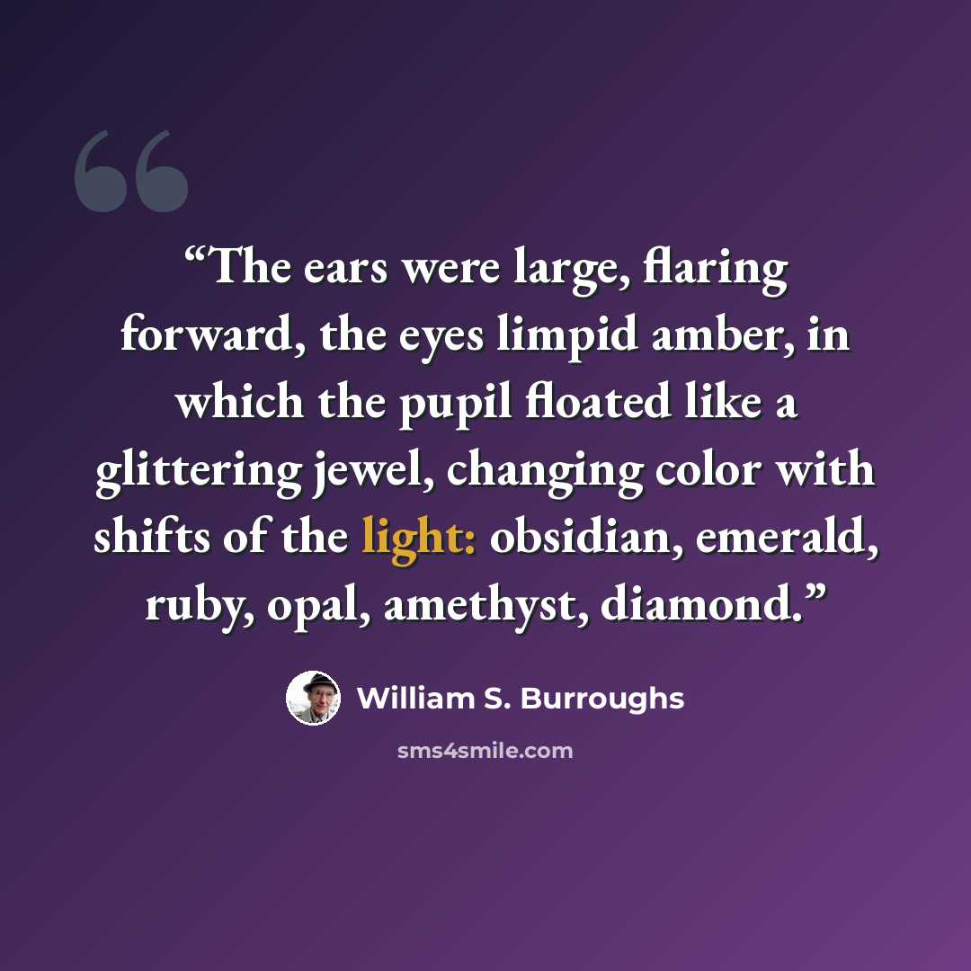 “The ears were large, flaring forward, the eyes limpid amber, in which the pupil floated like a glittering jewel, changing color with shifts of the light: obsidian, emerald, ruby, opal, amethyst, diamond.” quote by William S. Burroughs