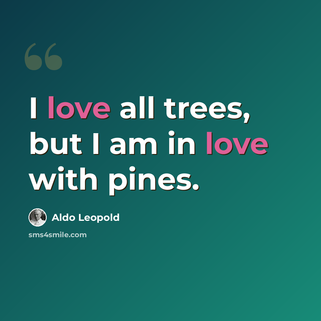 “I love all trees, but I am in love with pines.” quote by Aldo Leopold