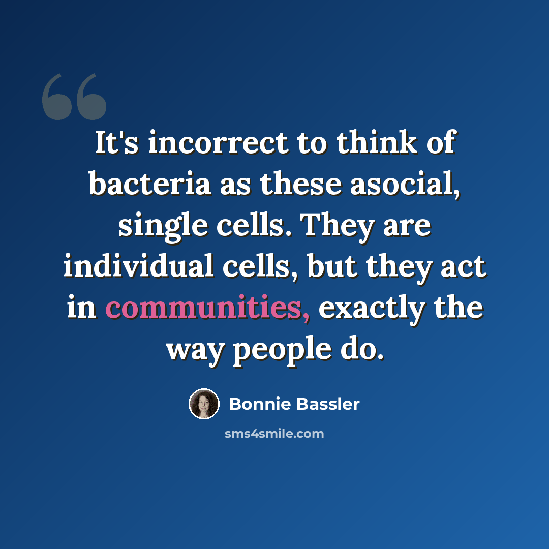 “It's incorrect to think of bacteria as these asocial, single cells. They are individual cells, but they act in communities, exactly the way people do.” quote by Bonnie Bassler