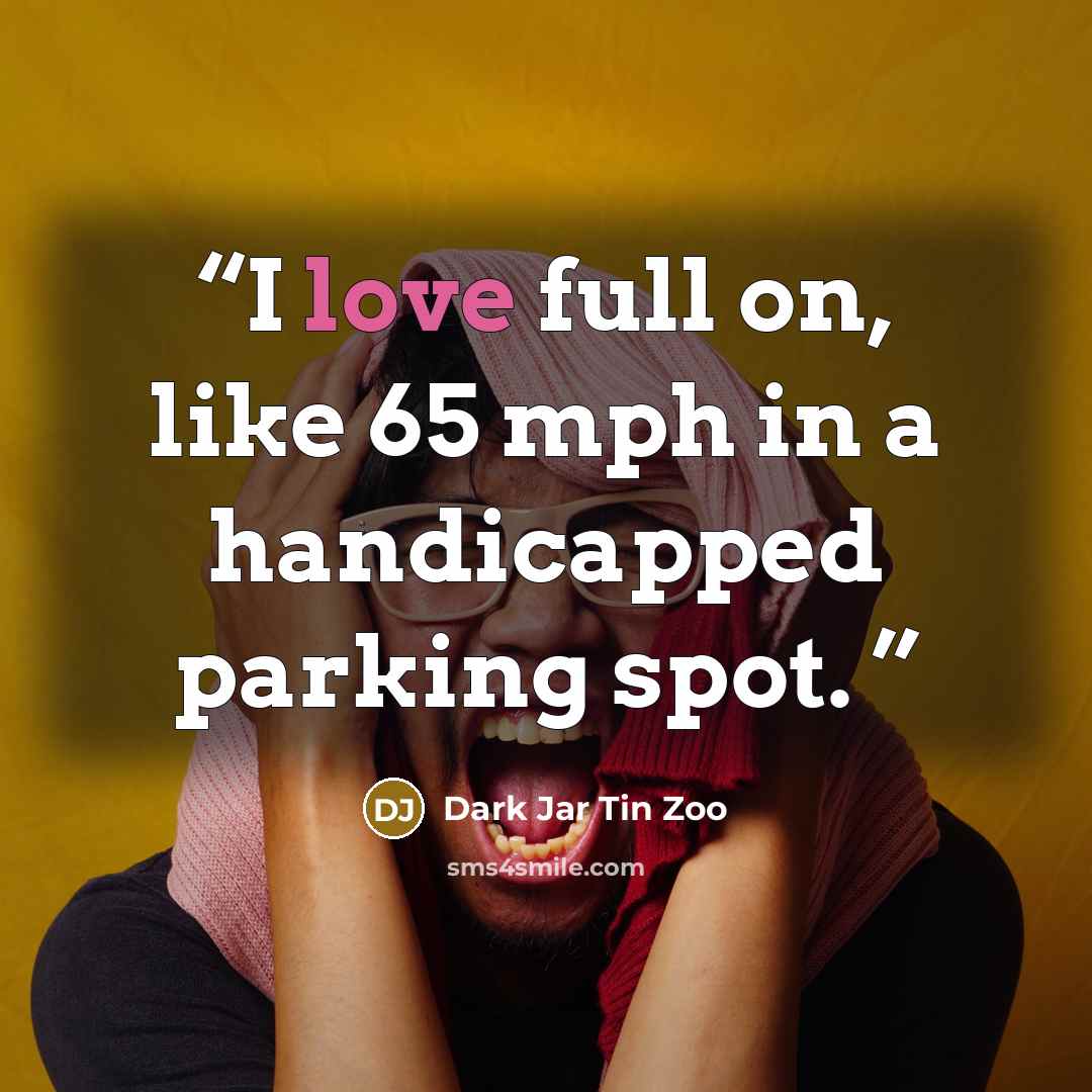 “I love full on, like 65 mph in a handicapped parking spot.” quote by Dark Jar Tin Zoo