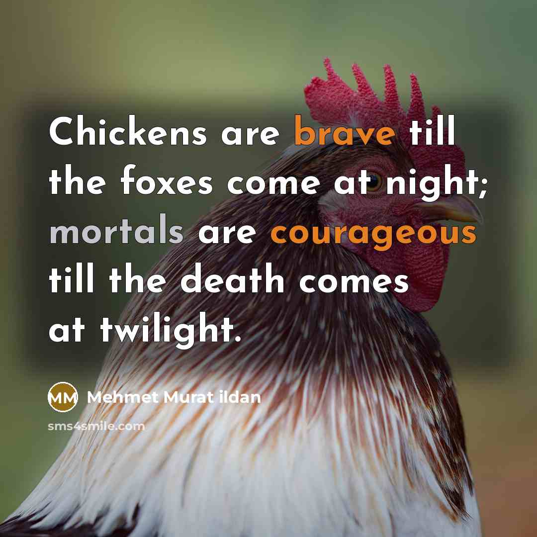 “Chickens are brave till the foxes come at night; mortals are courageous till the death comes at twilight.” quote by Mehmet Murat Ildan