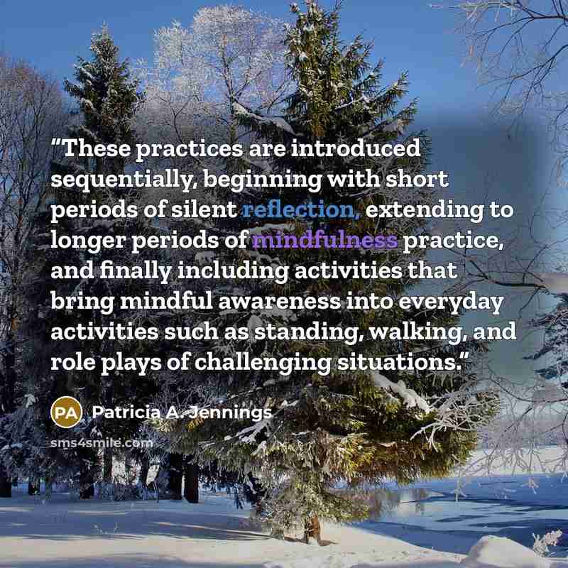 “These practices are introduced sequentially, beginning with short periods of silent reflection, extending to longer periods of mindfulness practice, and finally including activities that bring mindful awareness into everyday activities such as standing, walking, and role plays of challenging…” quote by Patricia A. Jennings