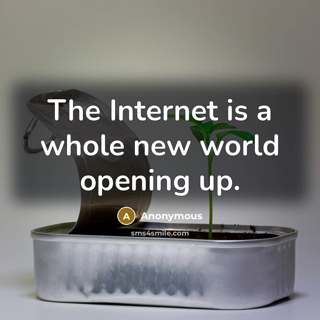 “The Internet is a whole new world opening up.” quote by Anonymous