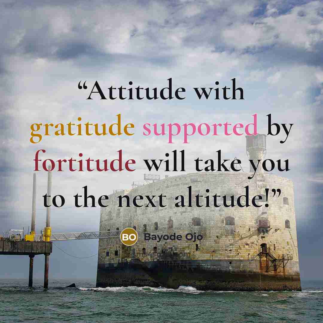 “Attitude with gratitude supported by fortitude will take you to the next altitude!” quote by Bayode Ojo