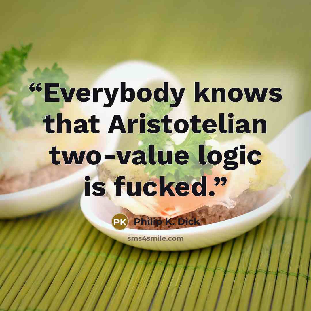 “Everybody knows that Aristotelian two-value logic is fucked.” quote by Philip K. Dick