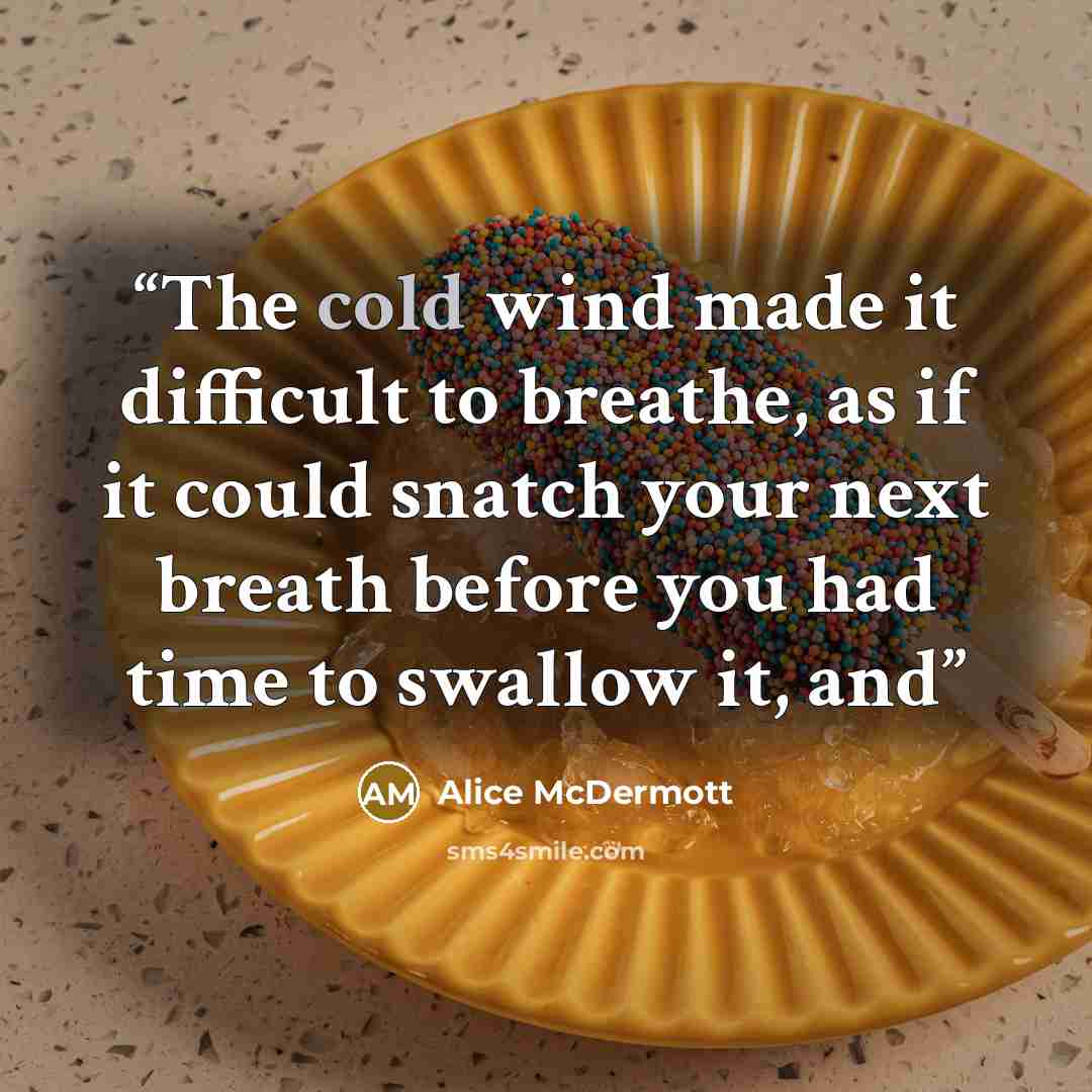 “The cold wind made it difficult to breathe, as if it could snatch your next breath before you had time to swallow it, and” quote by Alice McDermott