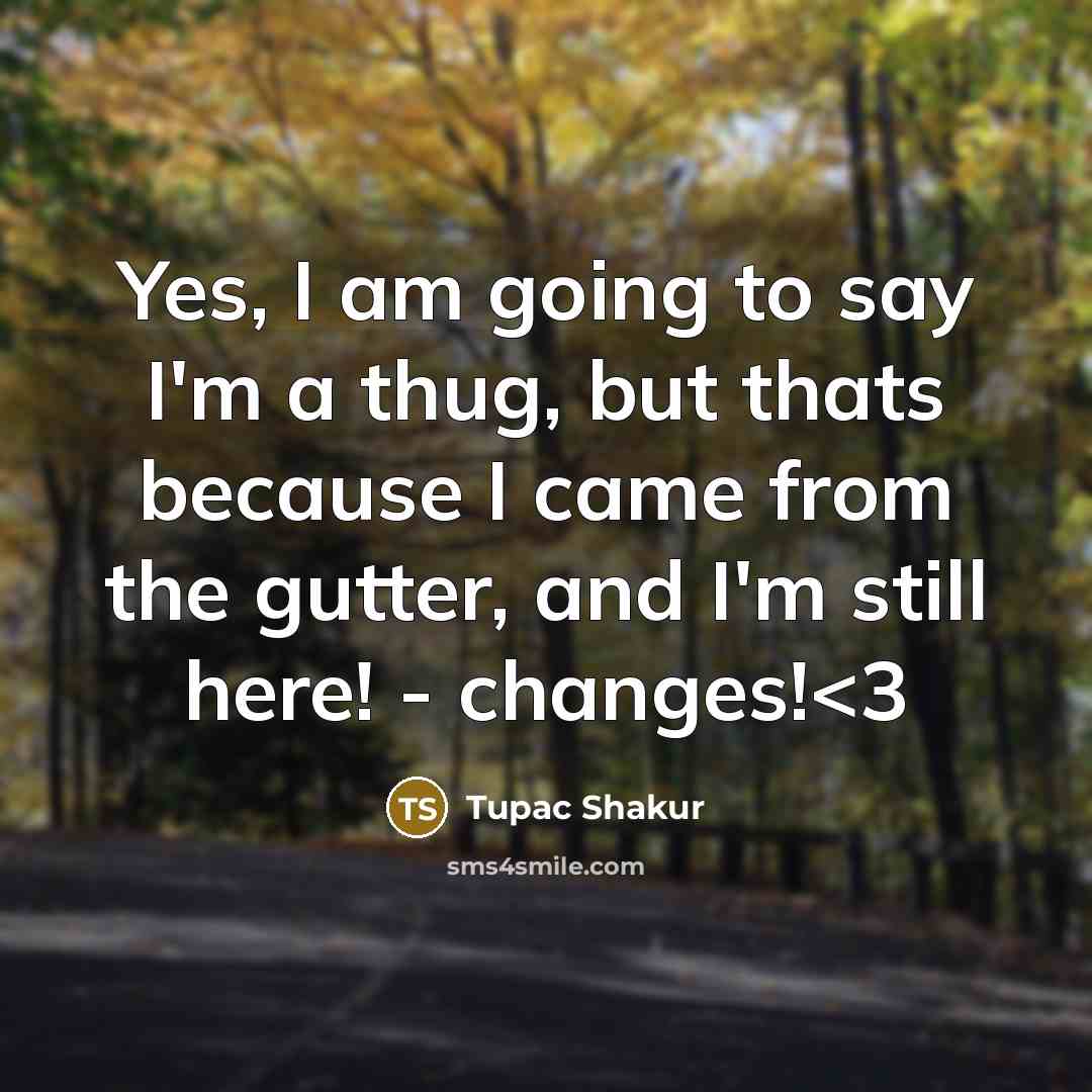 “Yes, I am going to say I'm a thug, but thats because I came from the gutter, and I'm still here! - changes!” quote by Tupac Shakur