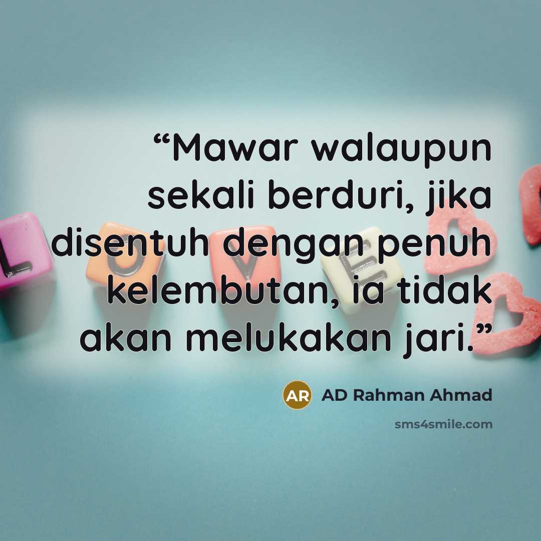 “Mawar walaupun sekali berduri, jika disentuh dengan penuh kelembutan, ia tidak akan melukakan jari.” quote by AD Rahman Ahmad