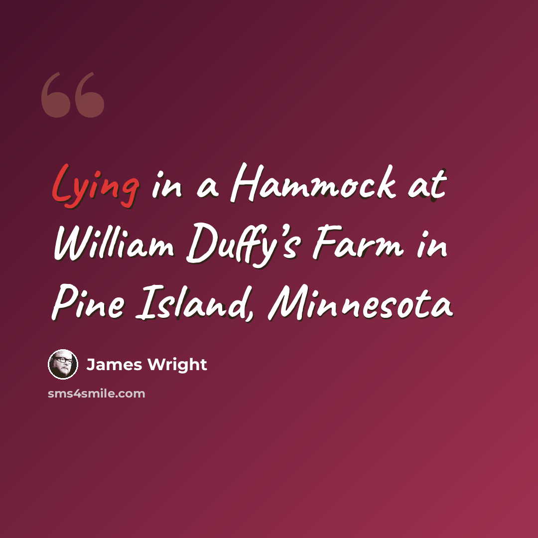 “Lying in a Hammock at William Duffy’s Farm in Pine Island, Minnesota” quote by James Wright