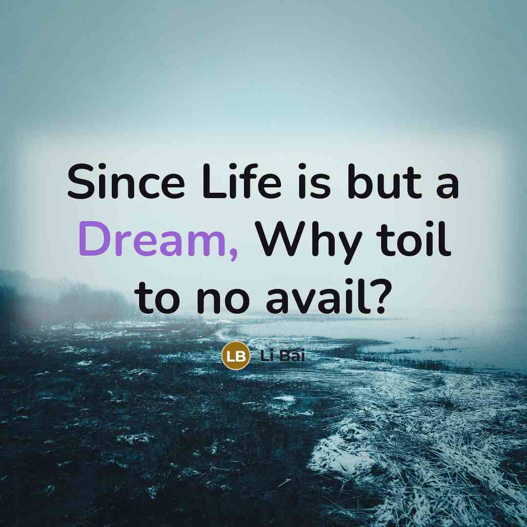 “Since Life is but a Dream, Why toil to no avail?” quote by Li Bai