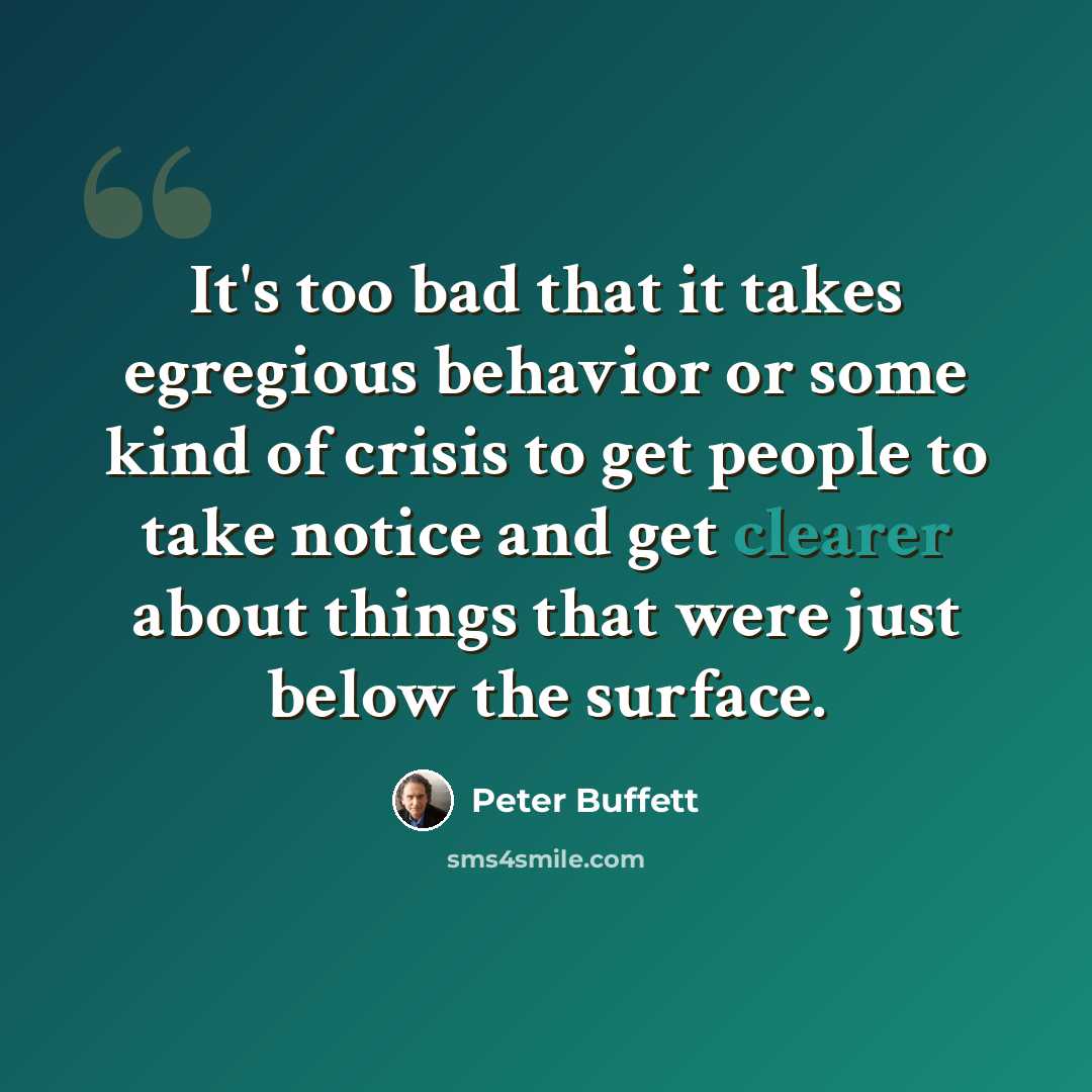 “It's too bad that it takes egregious behavior or some kind of crisis to get people to take notice and get clearer about things that were just below the surface.” quote by Peter Buffett