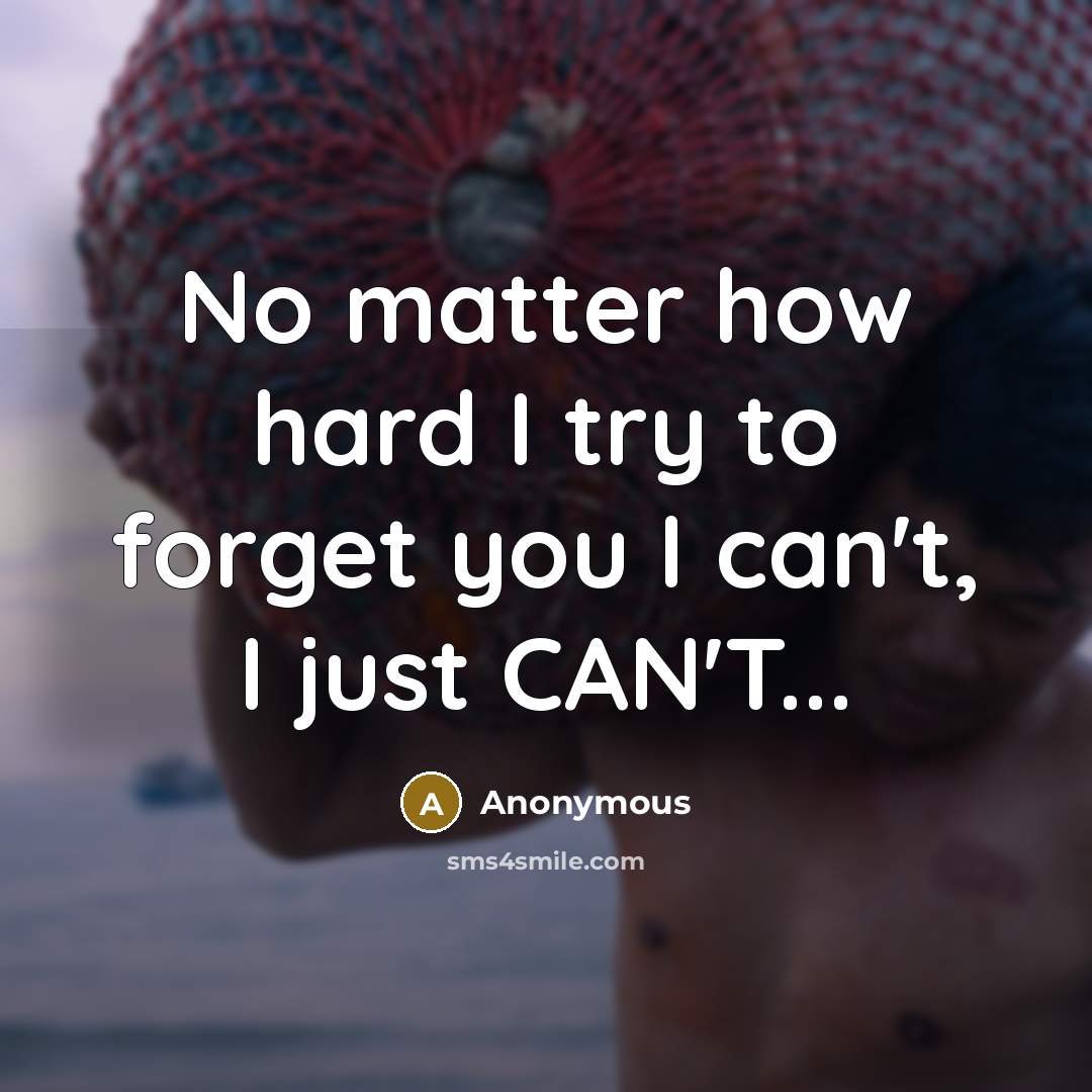“No matter how hard I try to forget you I can't, I just CAN'T...” quote by Anonymous