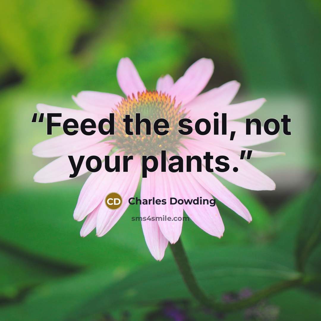 “Feed the soil, not your plants.” quote by Charles Dowding