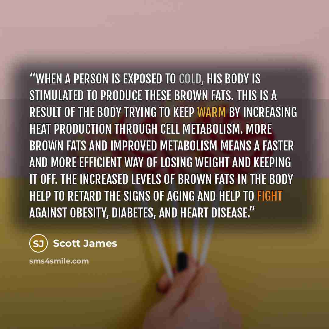 “When a person is exposed to cold, his body is stimulated to produce these brown fats. This is a result of the body trying to keep warm by increasing heat production through cell metabolism. More brown fats and improved metabolism means a faster and more efficient way of losing weight and keeping…” quote by Scott James