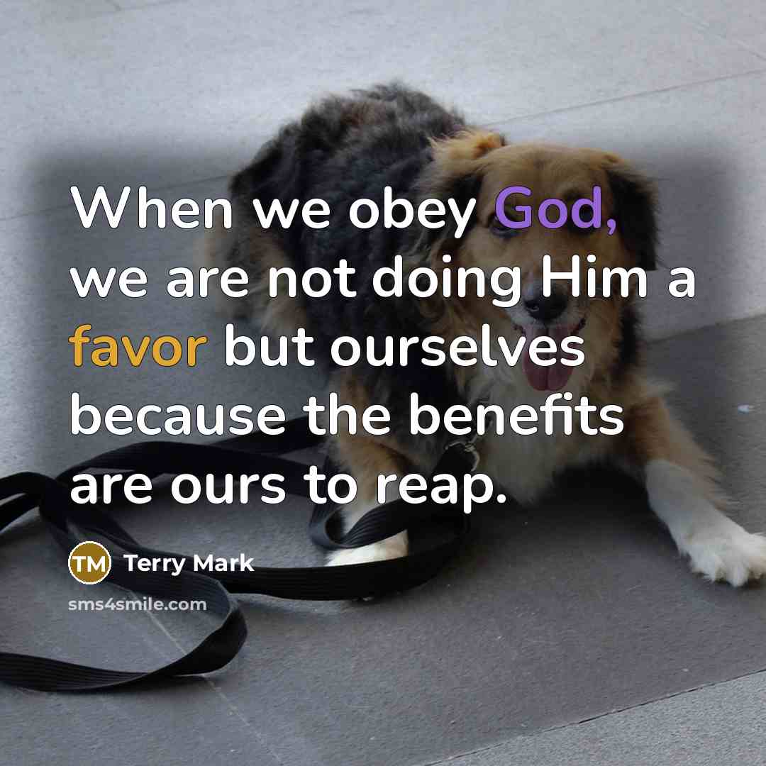 “When we obey God, we are not doing Him a favor but ourselves because the benefits are ours to reap.” quote by Terry Mark